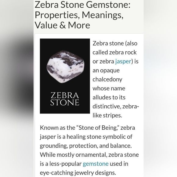 Zebra Stone Mens 8" Expansion Bracelet New Custom Made 6mm Balance Your Life - Picture 8 of 9